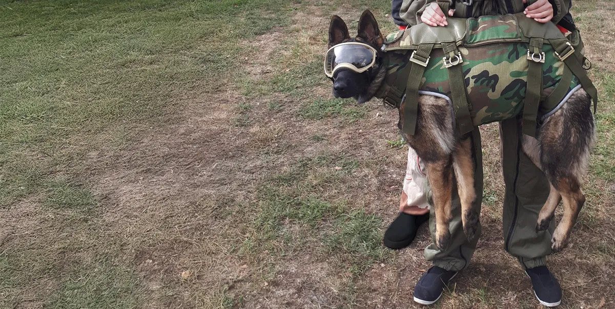 Saut en parachute bundle en Alsace Lorraine Vosges