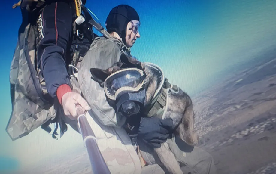 Saut en parachute pro chiens en Alsace Lorraine Vosges